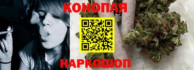 крисы Кунгур