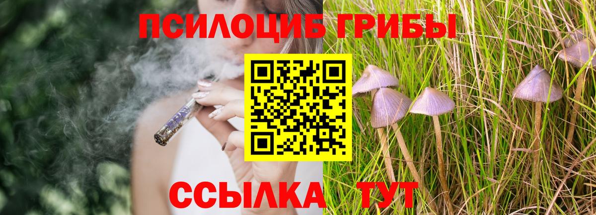 Воскресенск  Галлюциногенные грибы MAGIC MUSHROOMS  Вход с VPN 